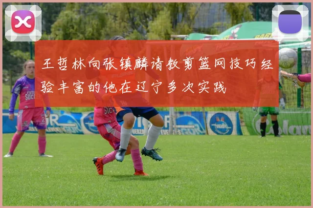 王哲林向张镇麟请教剪篮网技巧经验丰富的他在辽宁多次实践